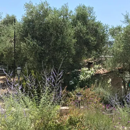 Homestay D Hotes Au Coeur Des Oliviers
