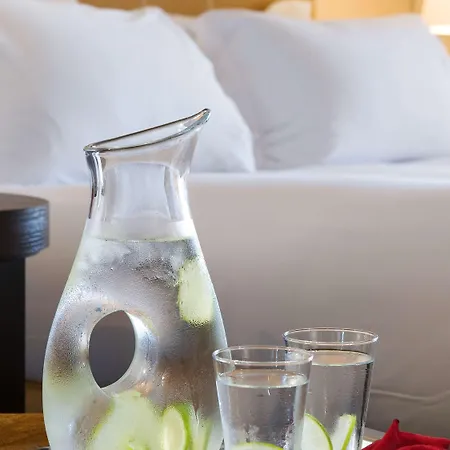 Sofitel Vieux-port 5* מרסיי