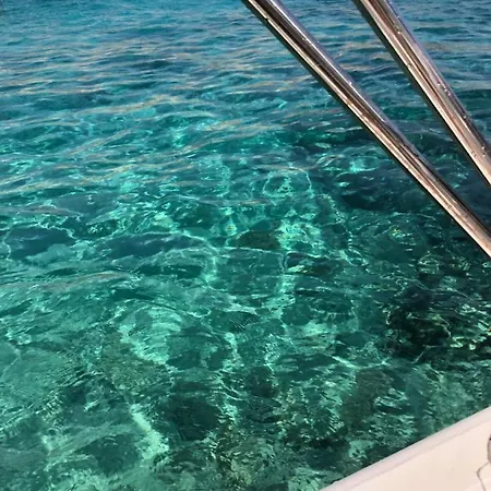 Ile Du Frioul, La Daurade Du Frioul, Marseille