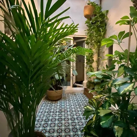 Apartment Haussmannien Rue Pietonne Opera Marseille