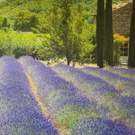 Homestay D Hotes Au Coeur Des Oliviers
