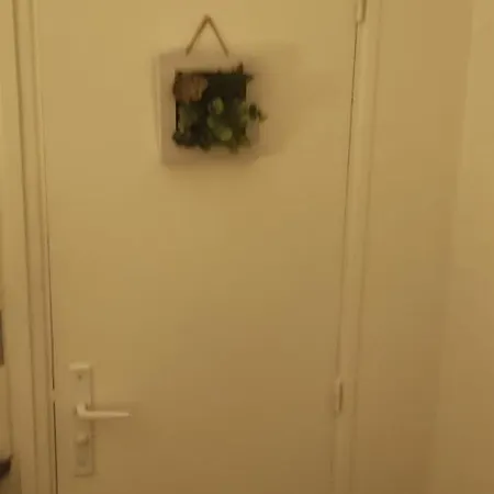 Only Apartment