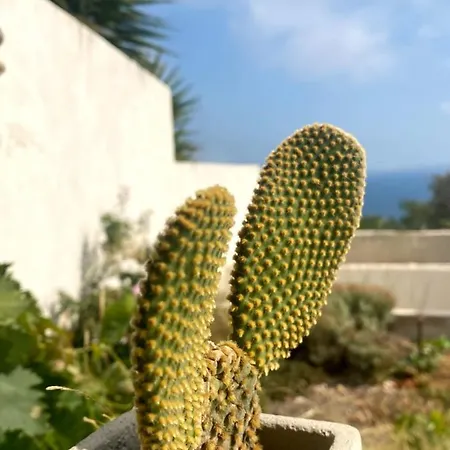 Les 3 Vue Piscine Penzion Marseille