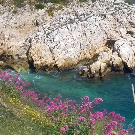 Petit Cocon A Mourepiane