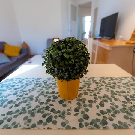 Elegant 2 En Plein Coeur De Apartment