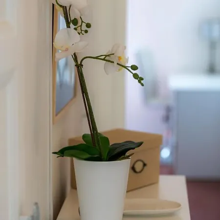 Elegant 2 En Plein Coeur De Apartment