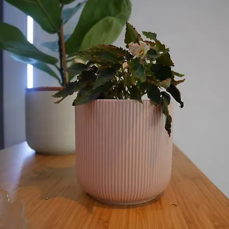 Appartamento Le Marceau - Terrasse Plein Sud