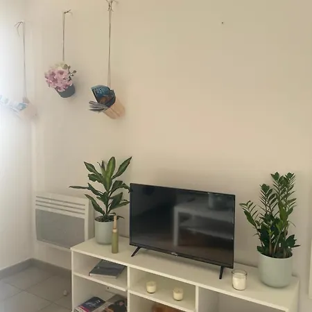 Studio Vieux Port Chez Fanette Apartment *