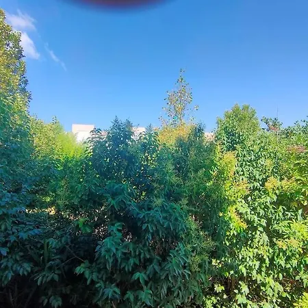 Au Pied Des Calanques, Nature, Plages A 6min, Parking, Bus Direct, Ideal Famille * Marseille
