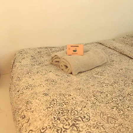 Studio Cosy-au Coeur De La Plaine Apartment *
