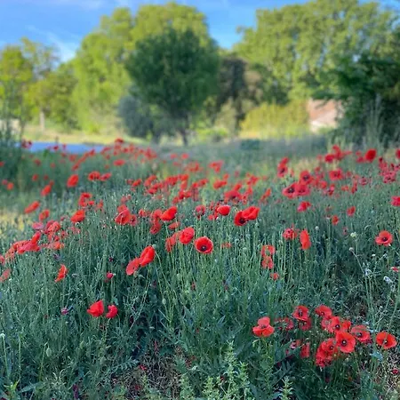 Dépendance De Bastide Climatisée Dans Parc Exceptionnel, Au Calme