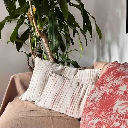 Brand New Cozy Marsella