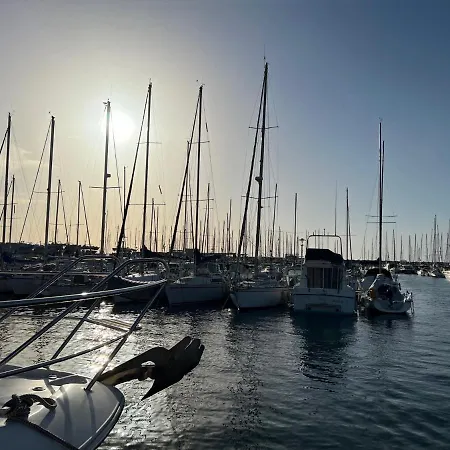 Lemon Tree - Vieux Port * Marseille