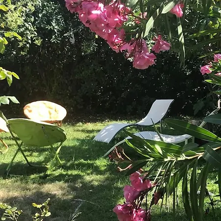 Calme Grand Jardin Bord De Mer. Parking