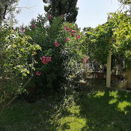 Calme Grand Jardin Bord De Mer. Parking Villa