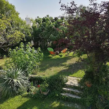 Villa Calme Grand Jardin Bord De Mer. Parking