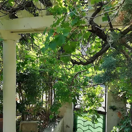 Calme Grand Jardin Bord De Mer. Parking Villa