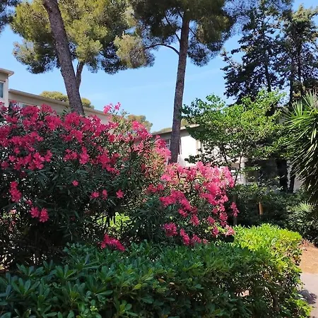 Cigalou Sous Les Pins Apartment