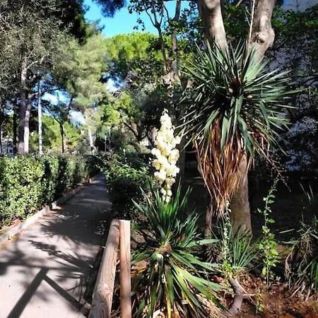 Apartment Cigalou Sous Les Pins Marseilles