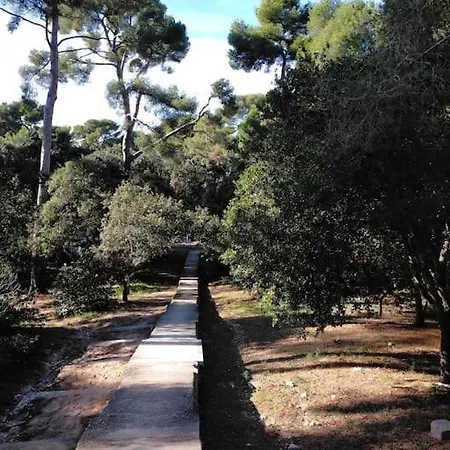 Apartment Cigalou Sous Les Pins *