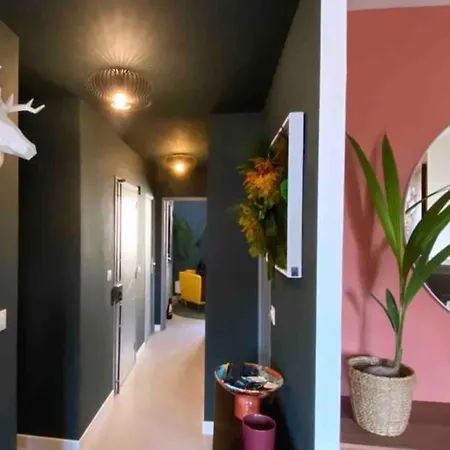 Apartment Plein Coeur De La Plaine