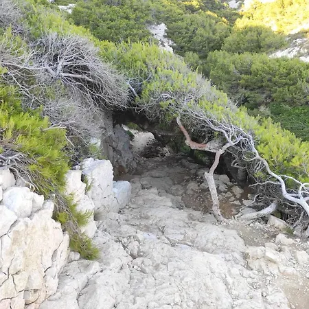 Chalet Chill Out Cabanon Coeur Calanques