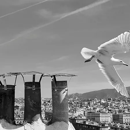 Escapade Marseillaise Pres Des Terrasses Du Port *