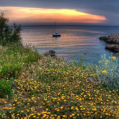 La Petite Calanque