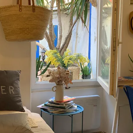 Jolie Studette Avec Patio Style Cabanon *
