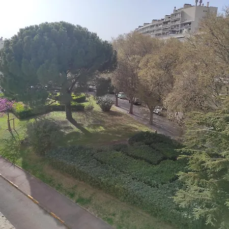 T3 Prado St-giniez Apartment