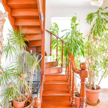 Appartement Un Balcon Sur La Mediterranee Marseilles