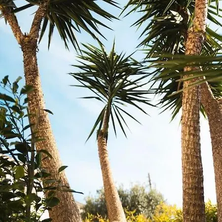 Maison De Roucas Blanc Holiday home *