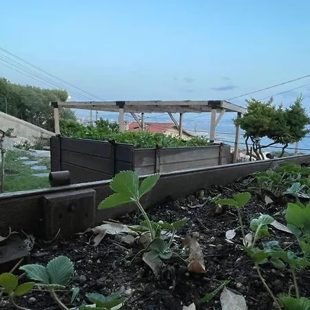 Superbe Terrasse Avec Vue Panoramique Sur La *