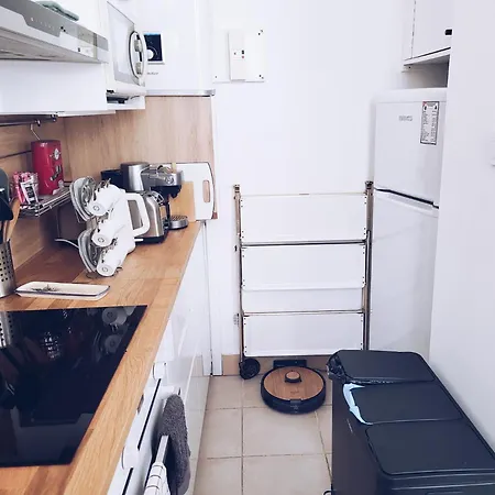 公寓 马赛乐皮西亚斯港口公寓 *