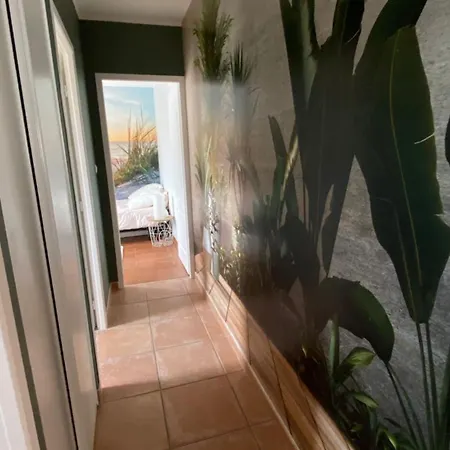 Maison Cauviere Marseille
