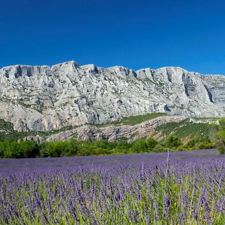 Cafi - Sud Passion * Calme * Linge Hotelier * Fibre * Marseille