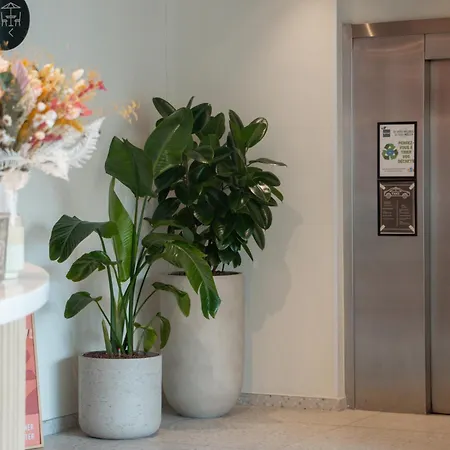Hotell Kyriad Palais Des Congres - Velodrome - Ibis Styles A Partir Du 13 Mai 2025 Marseille