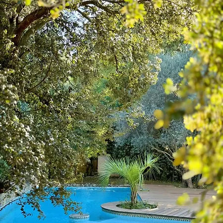 Villa D'architecte Tout Confort, Piscine & Jardin Marseille
