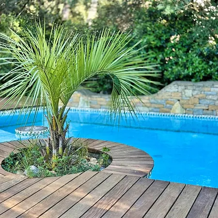 D'architecte Tout Confort, Piscine & Jardin Marseille