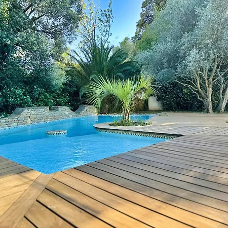 D'architecte Tout Confort, Piscine & Jardin Marseille