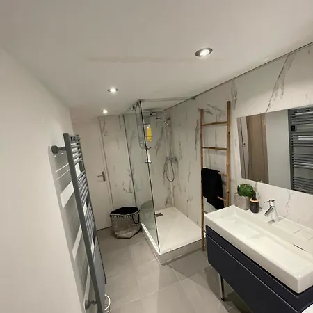 Apartment Design Sur Vauban - Clim Et Wifi *