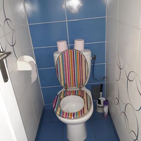 Homestay B2 Dans Un En Colocation