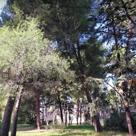 Calanques Apartment *