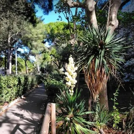 Appartement Calanques
