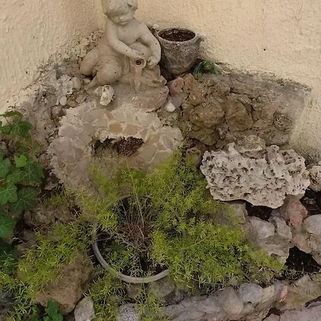 Petit Coin De Paradis Au Coeur De Marseille