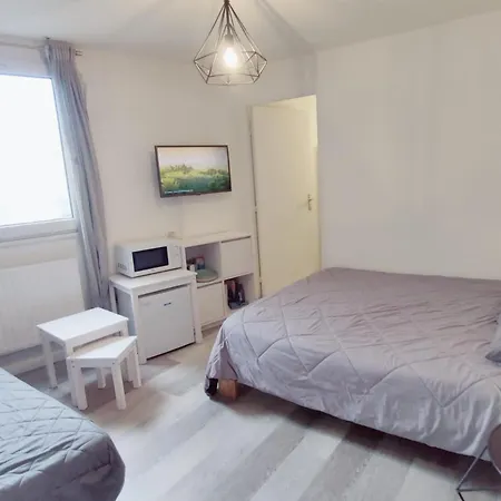 Homestay Chez Lora Sdb Wc Prive Frigo Netflix Clim Docks Marseille