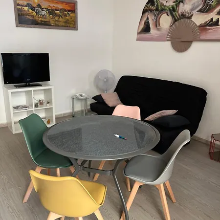 T3 Rez De Jardin Apartment