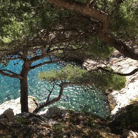 Typique Cabanon Familial Holiday home Marseille