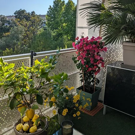 T3 Proche Des Calanques, Terrasse, Vue Collines