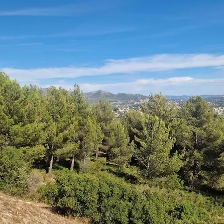 Les Pins De Palama * Marseille